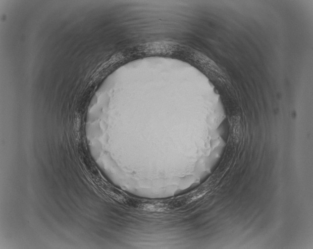 X0000081600550200702121552