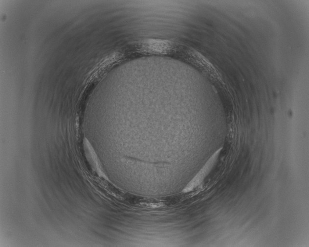 X0000081600552200702121552