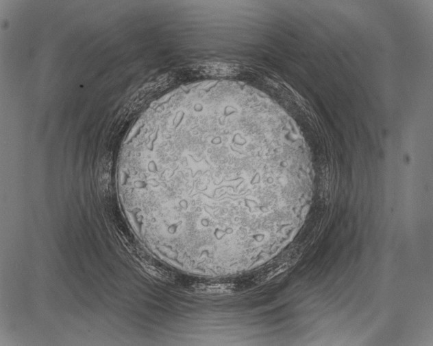 X0000081600553200702121552