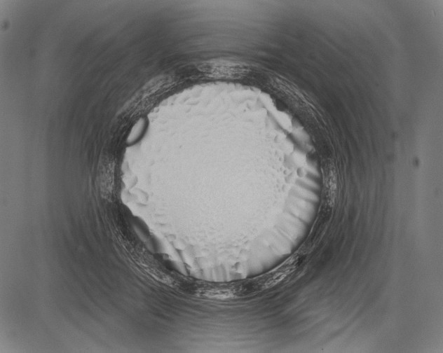 X0000081600554200702121552