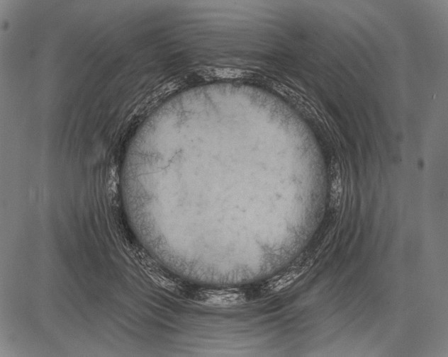 X0000081600555200702121552