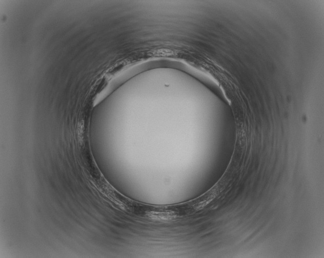 X0000081600556200702121552