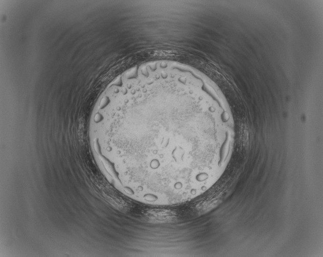 X0000081600557200702121552