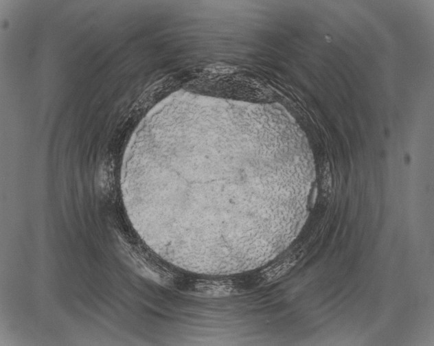 X0000081600559200702121552