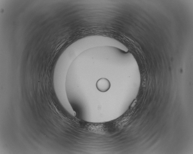 X0000081600560200702121552