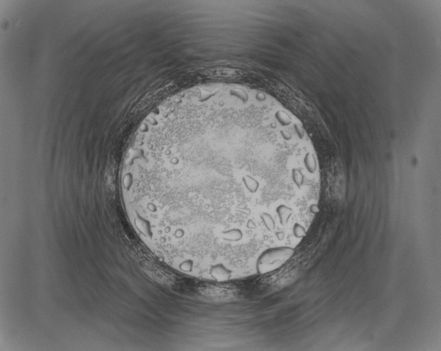 X0000081600561200702121552