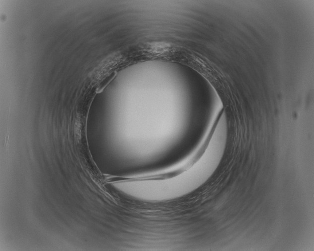 X0000081600562200702121552