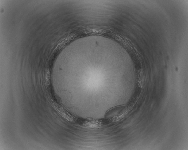 X0000081600563200702121552