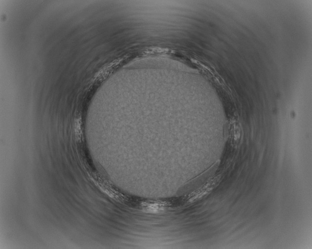 X0000081600564200702121552