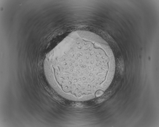 X0000081600565200702121552