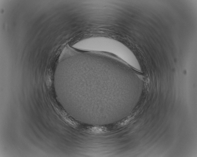 X0000081600566200702121552