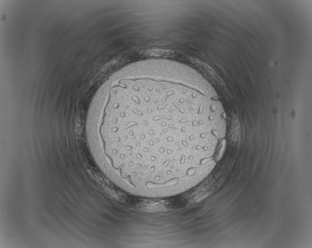 X0000081600569200702121552