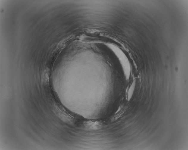 X0000081600570200702121552