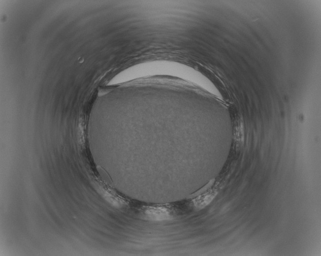 X0000081600572200702121552