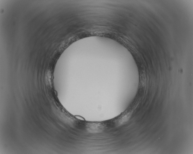 X0000081600575200702121552