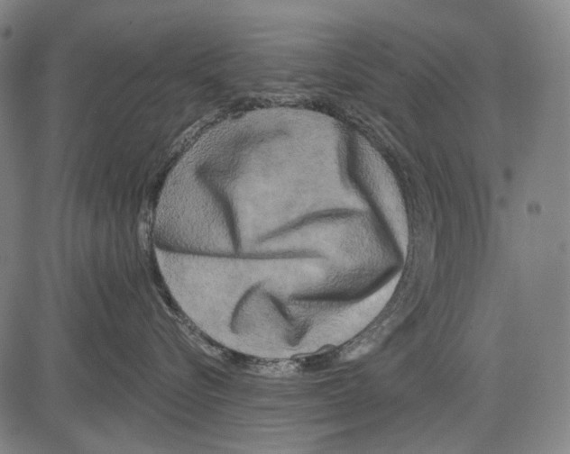 X0000081600576200702121552