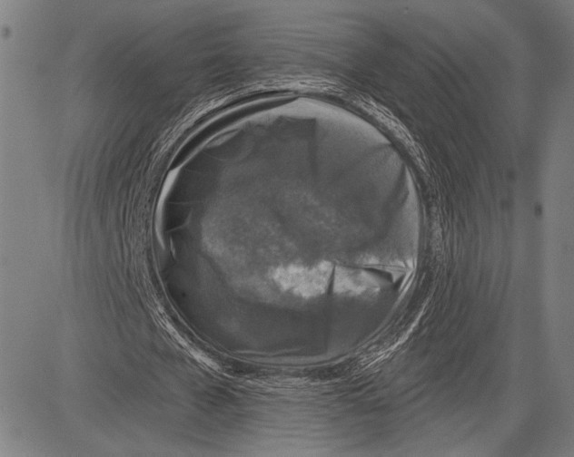 X0000081600577200702121551