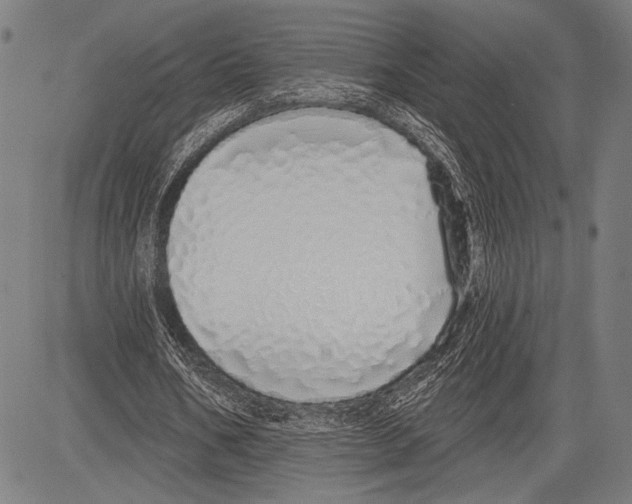 X0000081600578200702121551