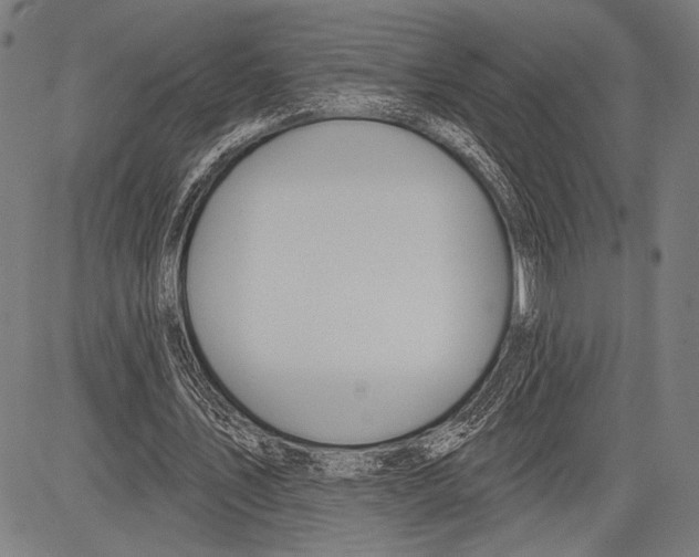 X0000081600579200702121551