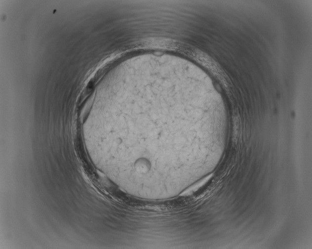 X0000081600580200702121551