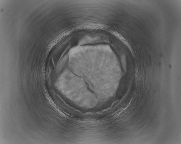 X0000081600581200702121551