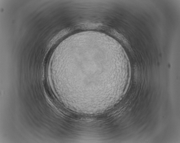 X0000081600582200702121551