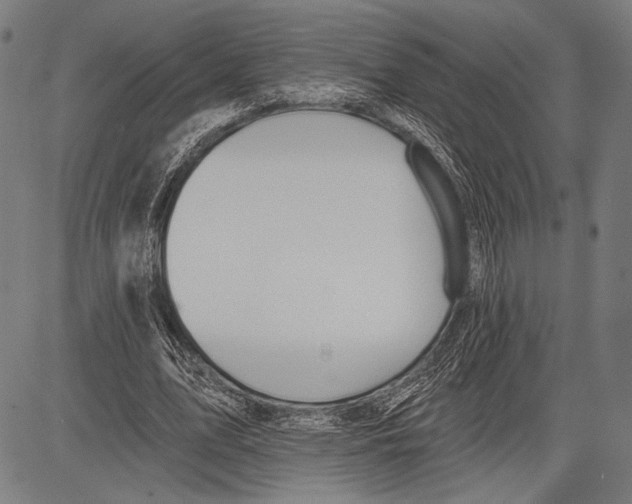 X0000081600583200702121551