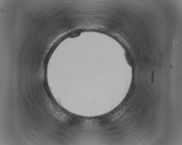 X0000081600584200702121551