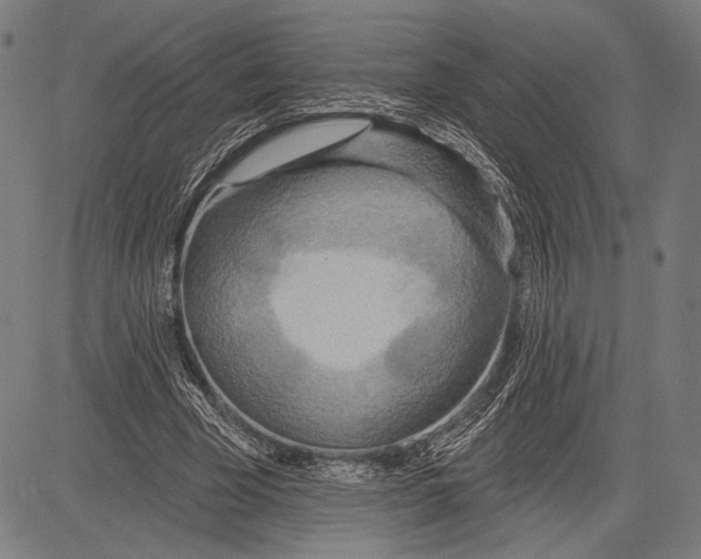 X0000081600585200702121551