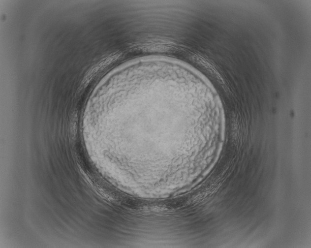 X0000081600586200702121551