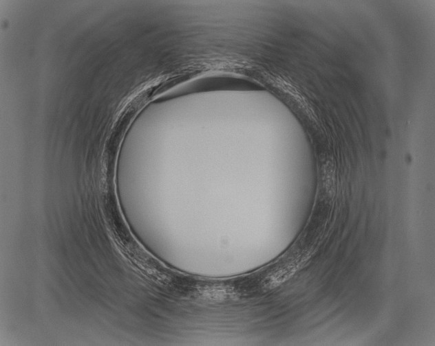 X0000081600587200702121551