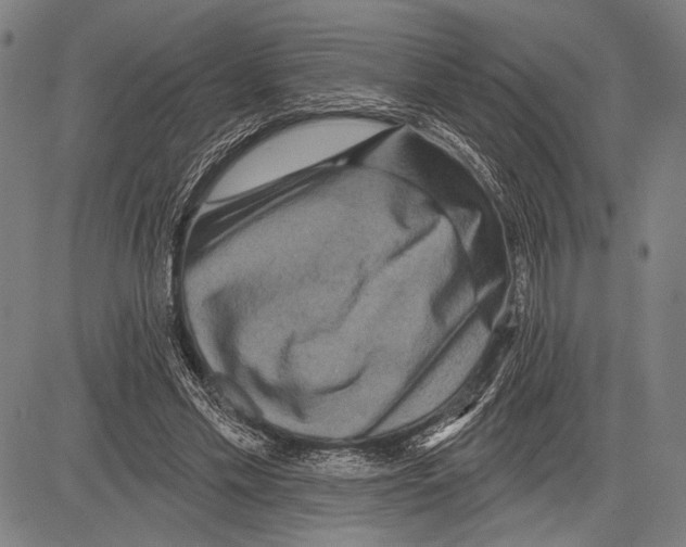 X0000081600589200702121551