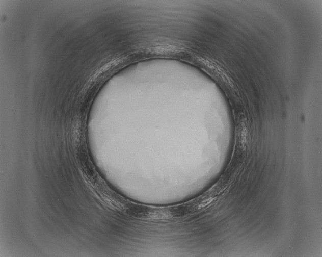 X0000081600591200702121551