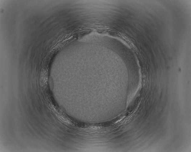 X0000081600593200702121551