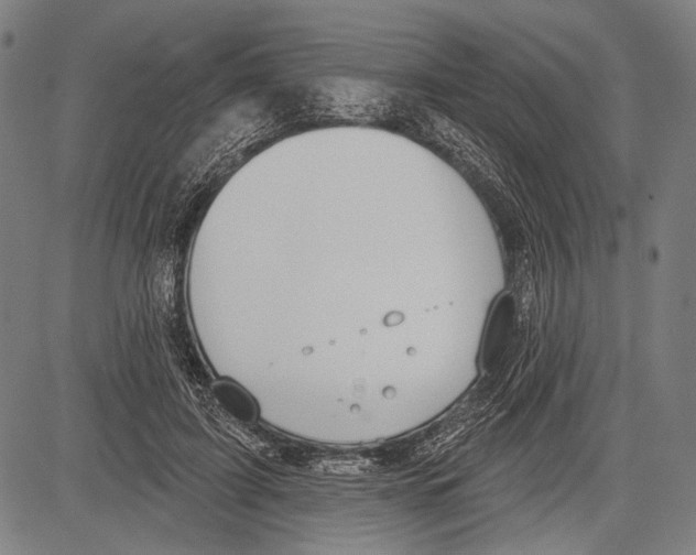 X0000081600595200702121551