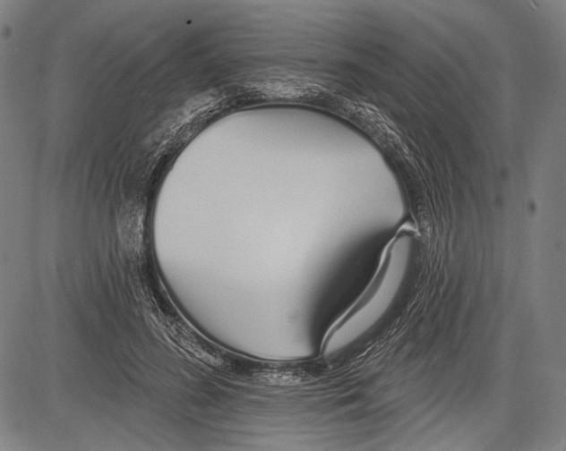 X0000081600596200702121551