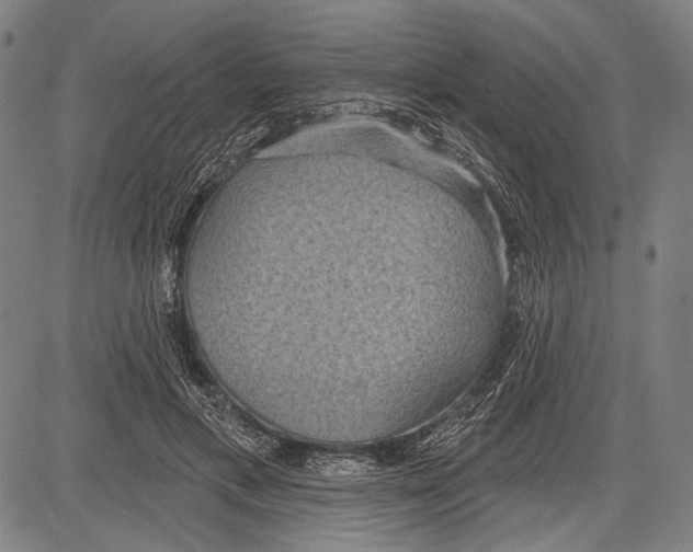 X0000081600597200702121551