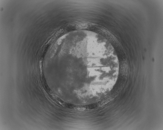 X0000081600598200702121551