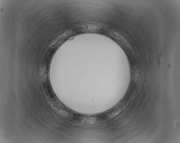 X0000081600599200702121551