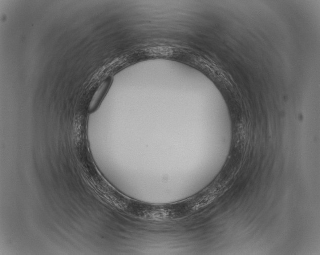 X0000081600600200702121551