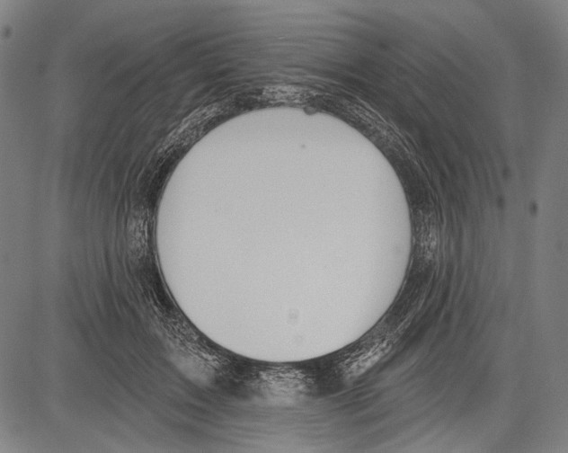 X0000081600603200702121551