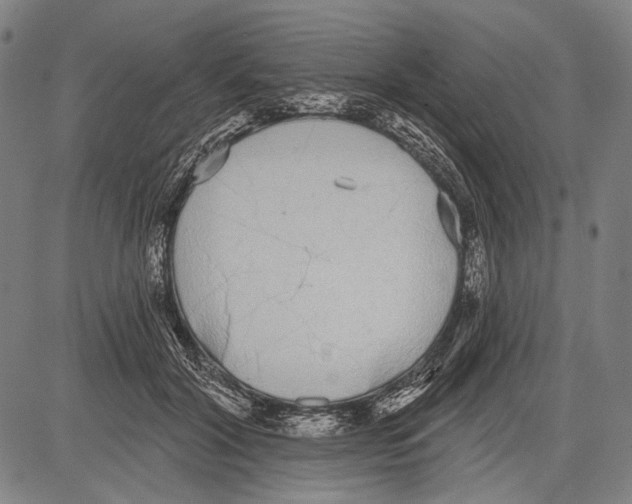 X0000081600604200702121551