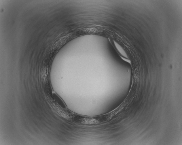 X0000081600605200702121551