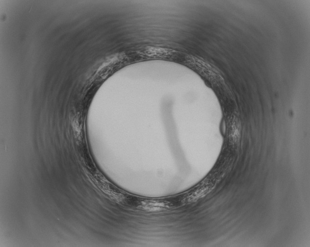 X0000081600607200702121551