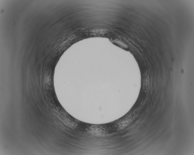 X0000081600608200702121551