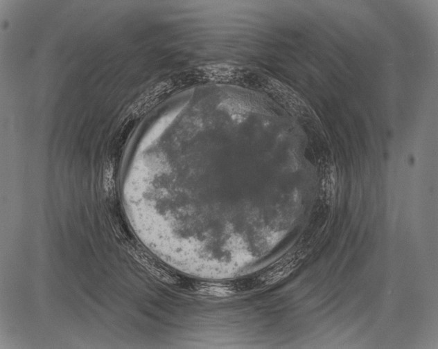 X0000081600610200702121551