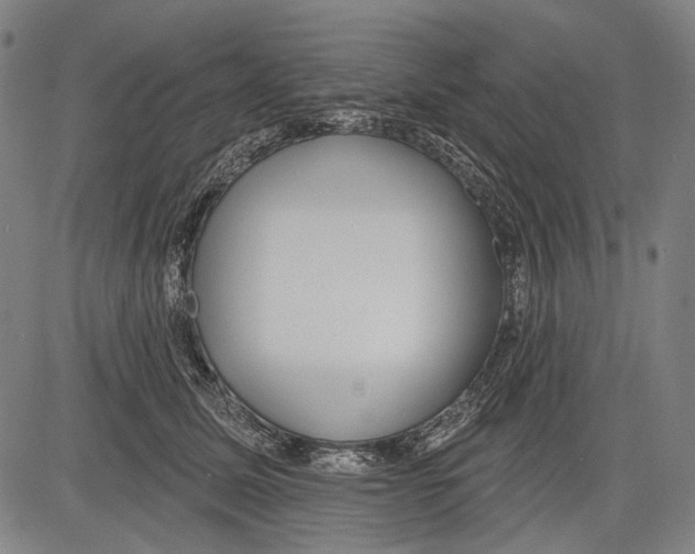 X0000081600611200702121551