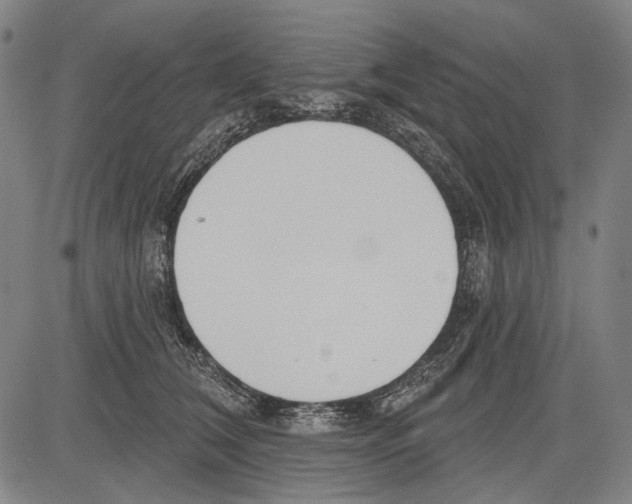 X0000081600612200702121551