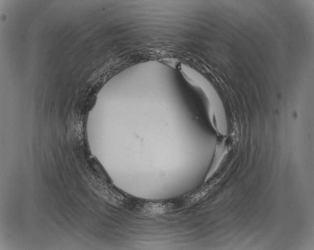 X0000081600613200702121551