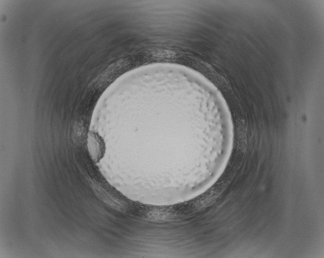 X0000081600614200702121551